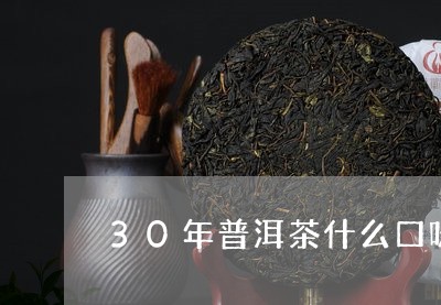 30年普洱茶什么口味/2023100576349