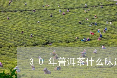 30年普洱茶什么味道/2023100800595