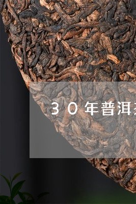 30年普洱茶价钱多少一斤/2023101036058