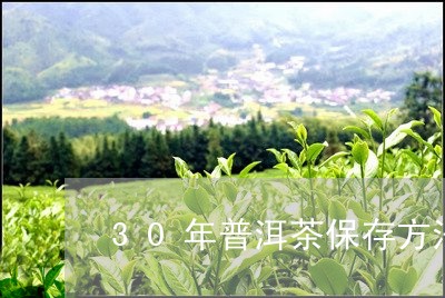 30年普洱茶保存方法/2023062416460