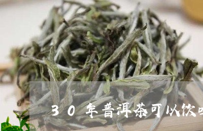 30年普洱茶可以饮吗/2023072473139