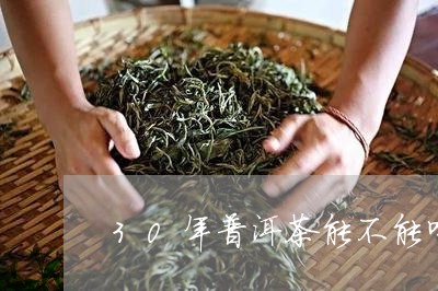 30年普洱茶能不能喝/2023072286160