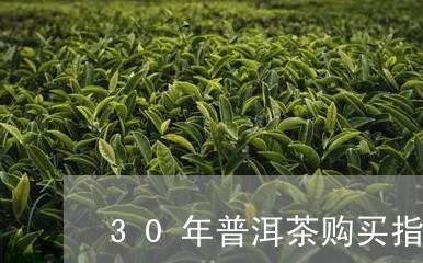 30年普洱茶购买指南/2023080162927