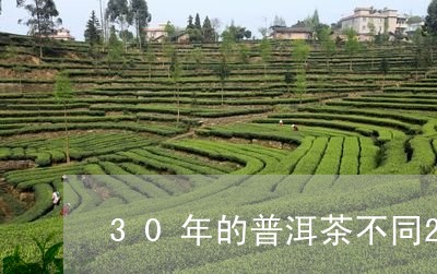 30年的普洱茶不同20年的/2023052722749