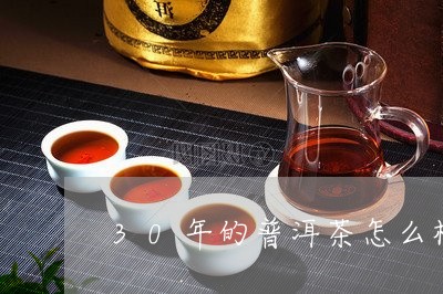 30年的普洱茶怎么样/2023093025959