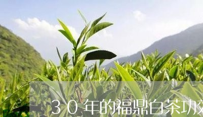 30年的福鼎白茶功效/2023120785240