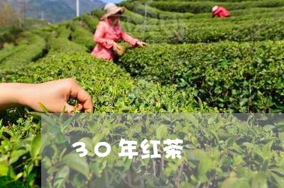 30年红茶/2023090211514