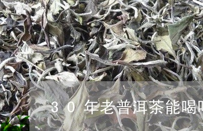 30年老普洱茶能喝吗/2023120674136