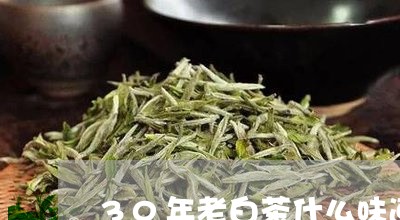 30年老白茶什么味道最好呢/2023111465160