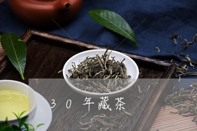 30年藏茶/2023090299360