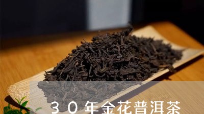 30年金花普洱茶/2023110325382