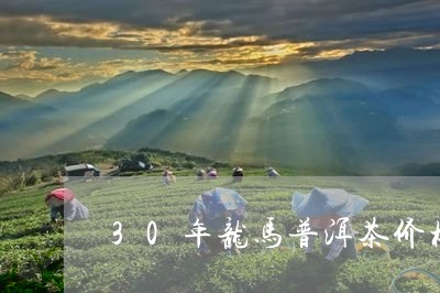 30年龙马普洱茶价格/2023100694956