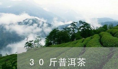 30斤普洱茶/2023042853307