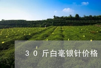 30斤白毫银针价格/2023120587460