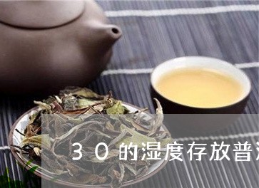 30的湿度存放普洱茶/2023080172735