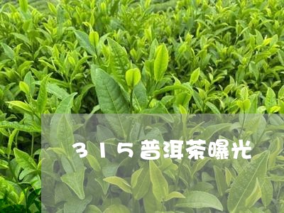 315普洱茶曝光/2023110579694