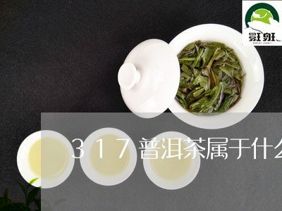 317普洱茶属于什么档次/2023110270584