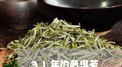 31年的普洱茶/2023112689560