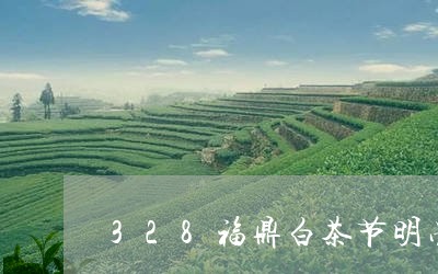 328福鼎白茶节明星/2023092738371