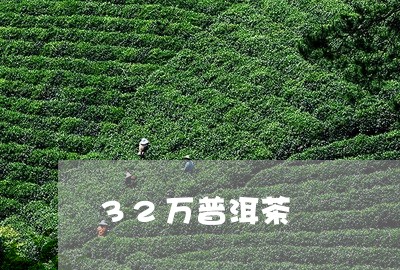 32万普洱茶/2023042719392