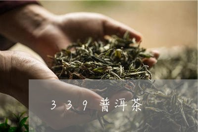 339普洱茶/2023042803801