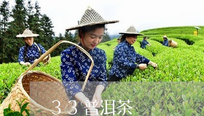 33普洱茶/2023102537371