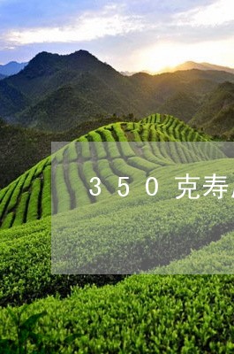 350克寿眉饼礼品/2023091390792