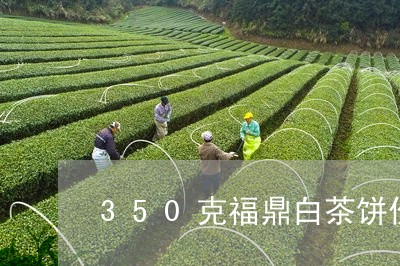 350克福鼎白茶饼价格/2023092113815