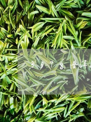 357g普洱茶熟茶饼/2023062420504