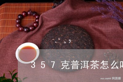 357克普洱茶怎么吃/2023100630471