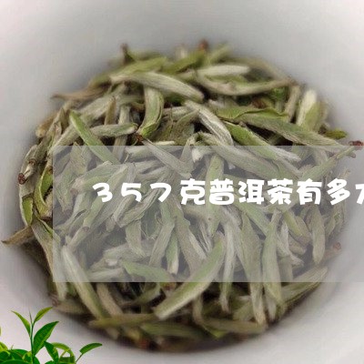 357克普洱茶有多大/2023062418381