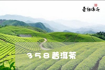 358普洱茶/2023042832335