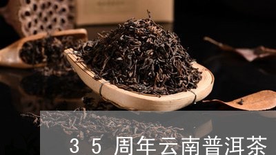 35周年云南普洱茶/2023112645047