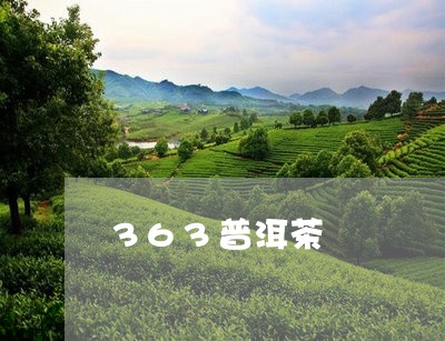 363普洱茶/2023042820574