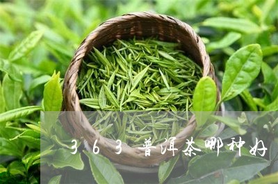 363普洱茶哪种好/2023091495361