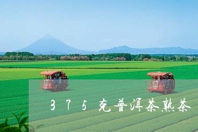 375克普洱茶熟茶/2023070947350