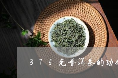 375克普洱茶的功效/2023100698473