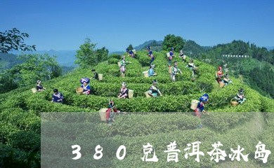 380克普洱茶冰岛/2023071128572