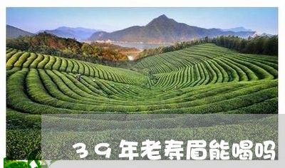 39年老寿眉能喝吗/2023120448404