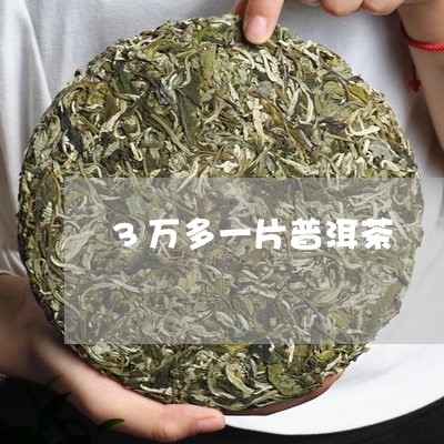 3万多一片普洱茶/2023120436148