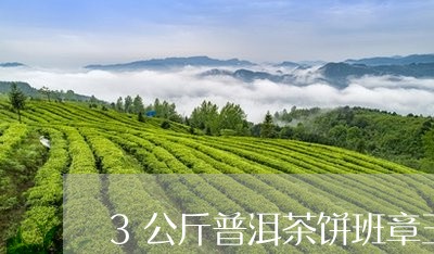 3公斤普洱茶饼班章王/2023120740503