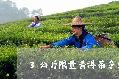 3公斤限量普洱茶多少钱/2023102530403