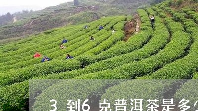 3到6克普洱茶是多少/2023112749384