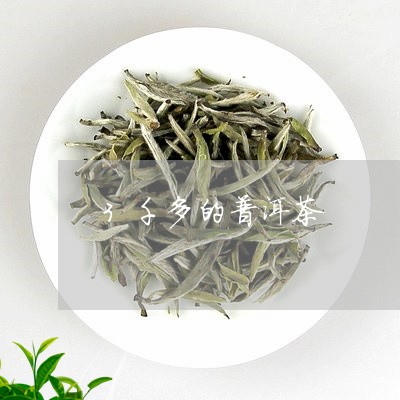 3千多的普洱茶/2023110555258