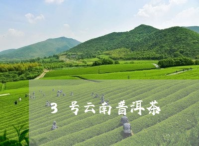 3号云南普洱茶/2023102685150