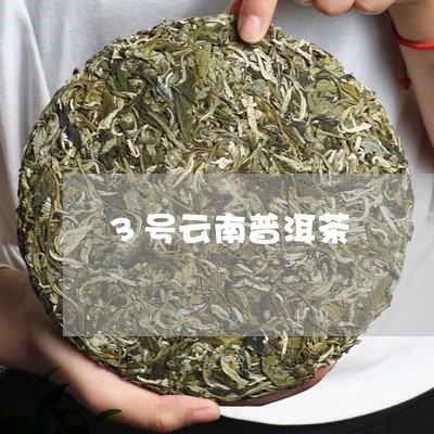 3号云南普洱茶/2023120380492