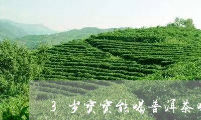 3岁宝宝能喝普洱茶吗/2023072345259