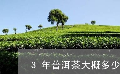 3年普洱茶大概多少钱/2023062189795