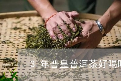 3年普皇普洱茶好喝吗/2023092798471