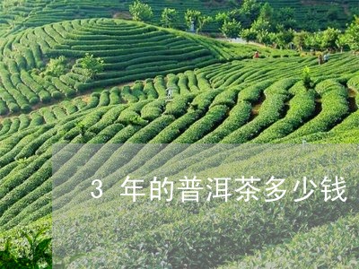 3年的普洱茶多少钱/2023071135259